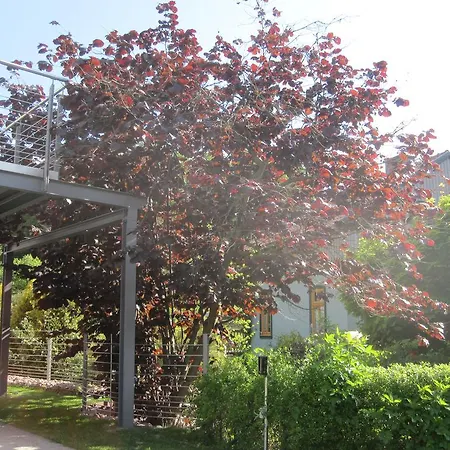 Apartament Haus Sembachtal *