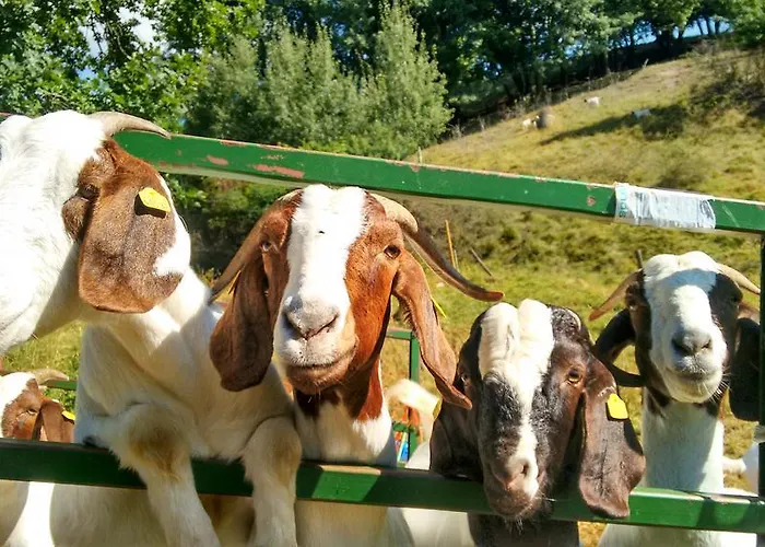 アパート Haus Sembachtal Winterstein